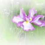 2015.06.14_hanashobu